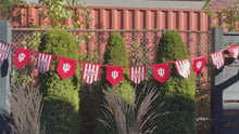 Load and play video in Gallery viewer, Indiana University Pennant Flags | 18&#39; of string with 12 flags | Candy Stripe | Banner Flags |Waterproof | Double sided | Durable | Recyclable
